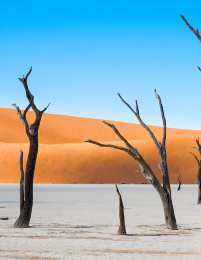 Deadvlei Namibia dune alberi acacia