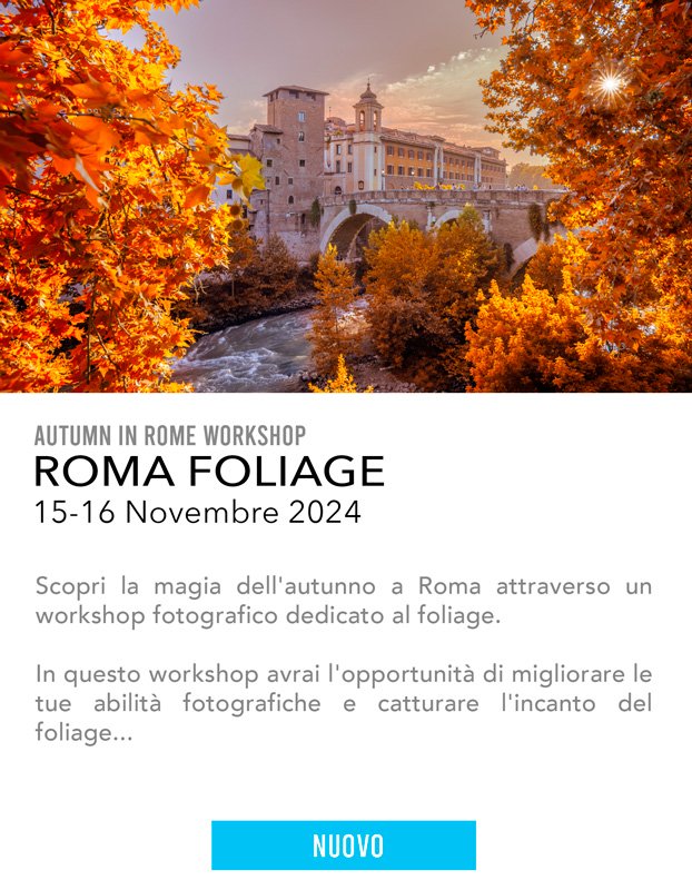 workshop roma foliage